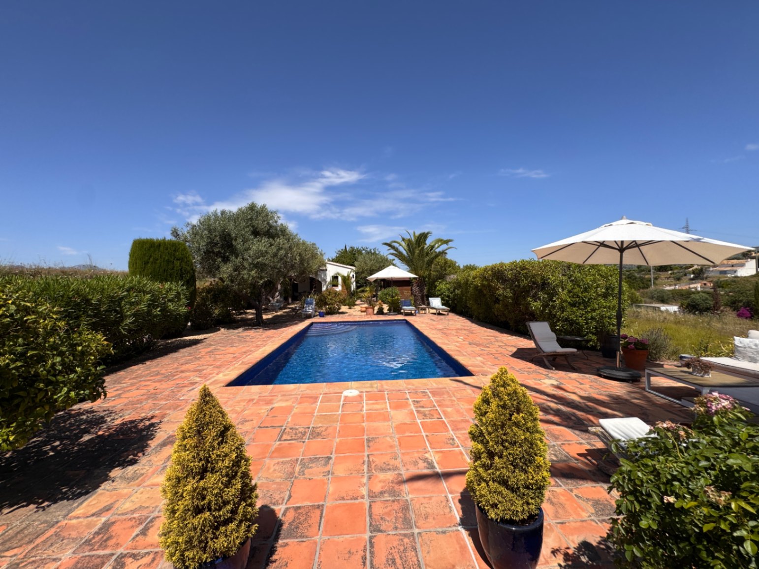 Farm, Ranch or Equestrian in Teulada - Image 5