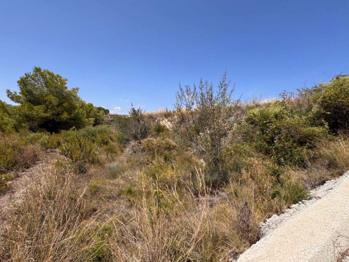 Land in Teulada - Image 3