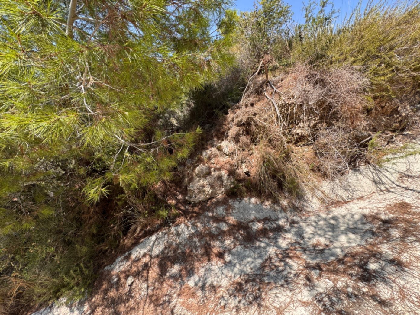 Land in Teulada - Image 4