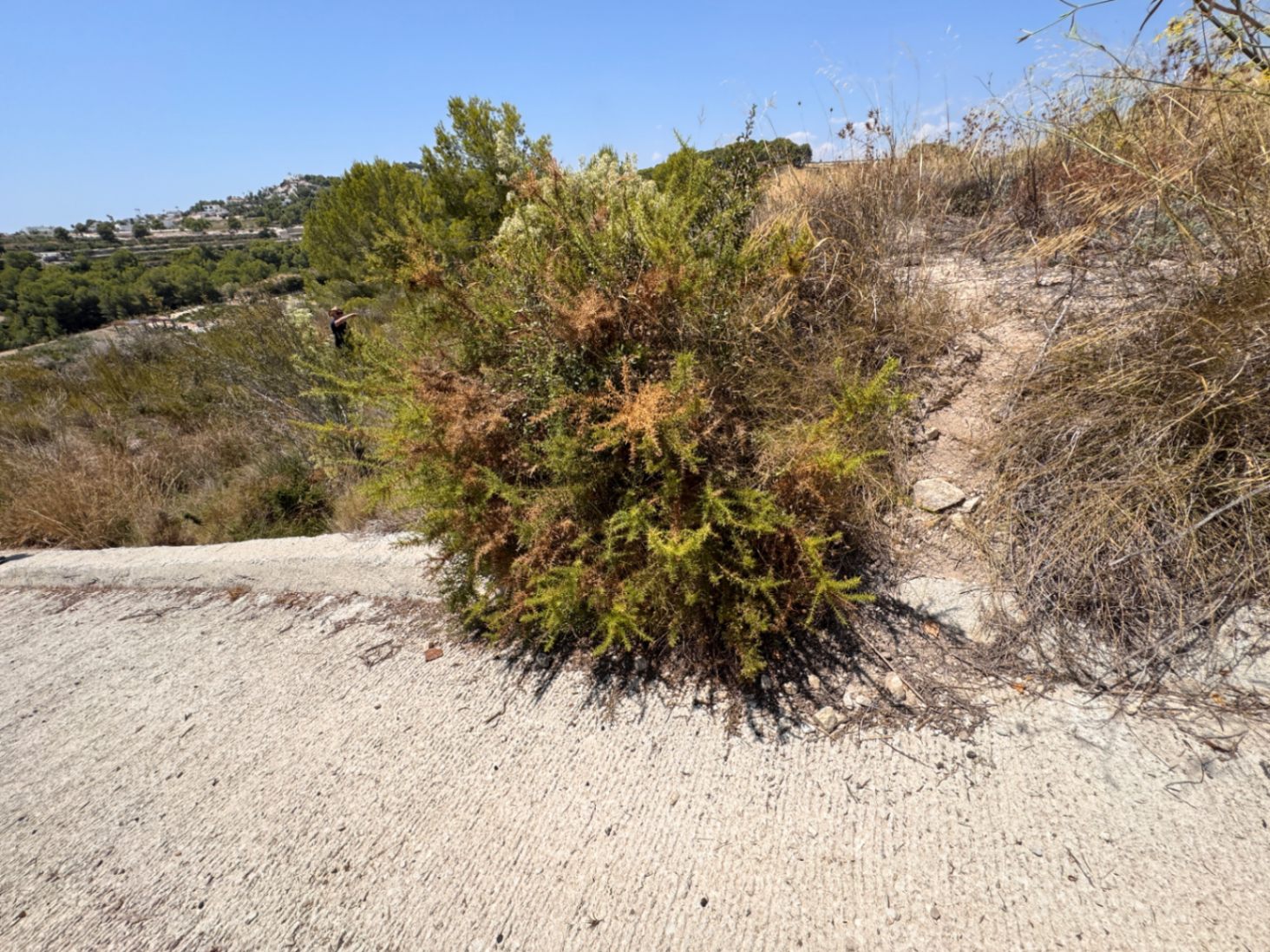 Land in Teulada - Image 5